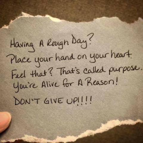 Don't Give Up 💜