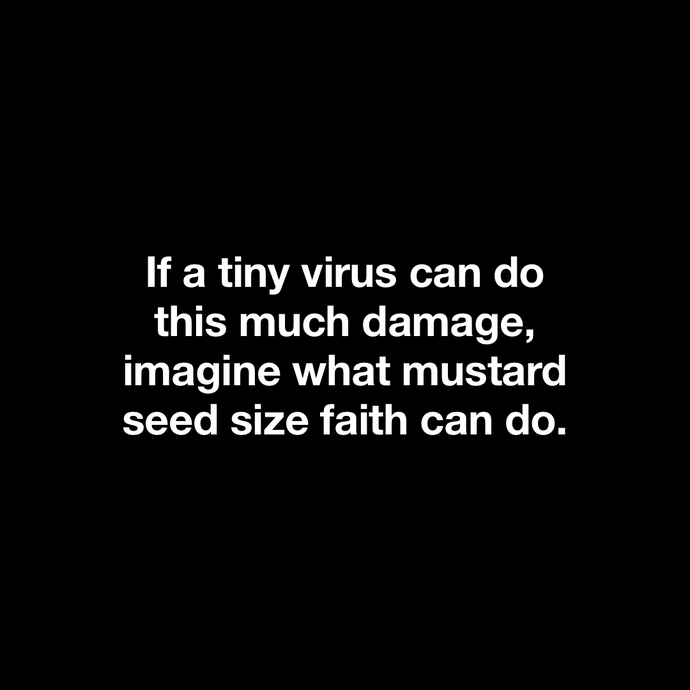Mustard Seed 💙