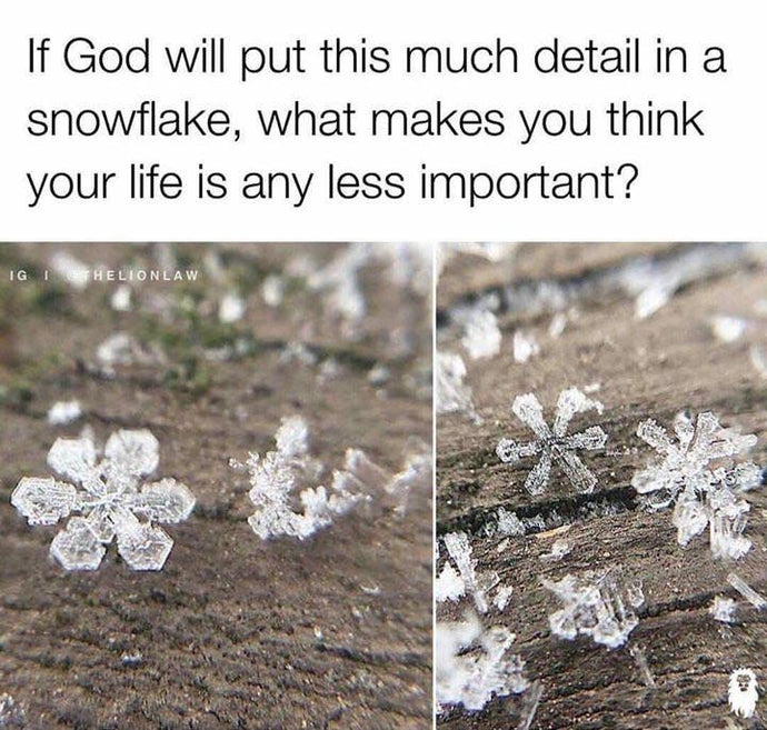 He made you ❄️